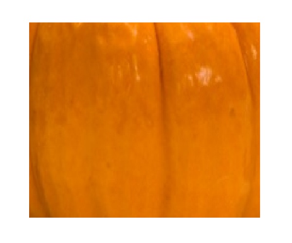 Sweet Cinnamon Pumpkin Perfume Body Oils Sweet Cinnamon Pumpkin Perfume Body Oils